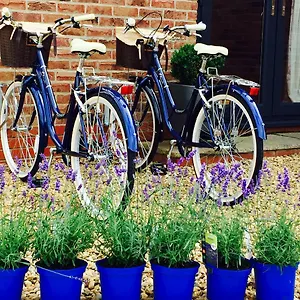 https://orchard-view-cottage.hotelsin-nottingham.com